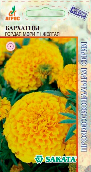 ������ ������ ������ ����� �������� ������ ���� ������ F1, 5 ��. Sakata ���������������� �����   ����