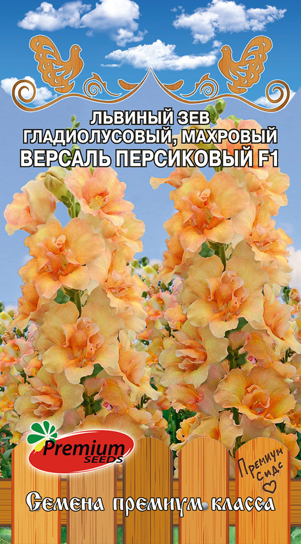 ������ ������ ������ Premium seeds ������� ��� ������������� �������� ������� ���������� F1, 5 ��. ������ �� ������   ����