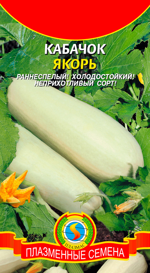 ������ ������ ������ ������� ������� �����, 11 ��.   ����