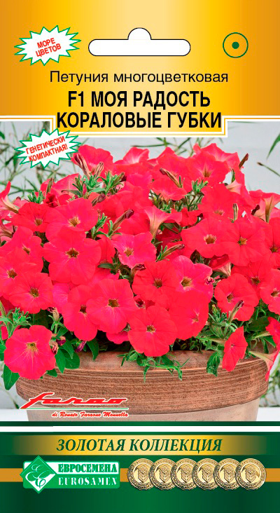 ������ ������ ������ ���������� ������� �������������� ��� ������� ����������� ����� F1, 5 ����� Farao ������� ���������   ����