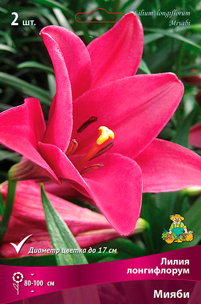 ������ ������ ���������� �������� ����� ��������� ����� ����������� �����, 2 ��.   ����