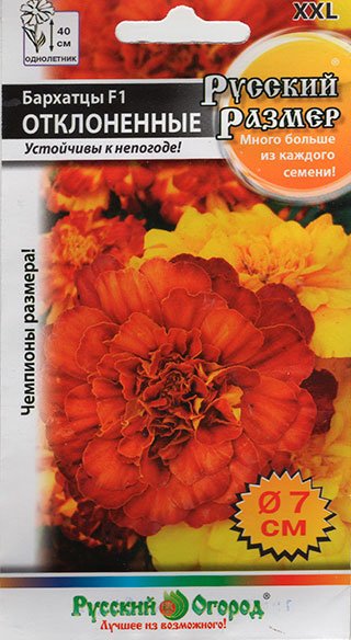 ������ ������ ������ ������� ������ �������� ����������� ������� ������ F1, �����, 10 ��.   ����