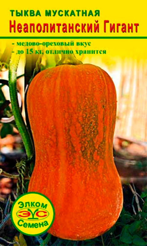 ������ ������ ������ ����� ������ ����� ��������� �������������� ������, 5 ��.   ����