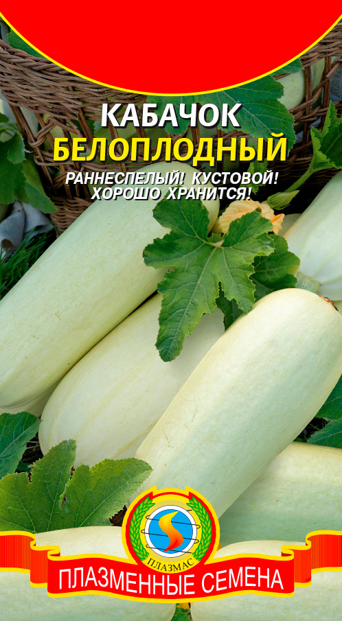 ������ ������ ������ ������� ������� �����������, 11 ��.   ����