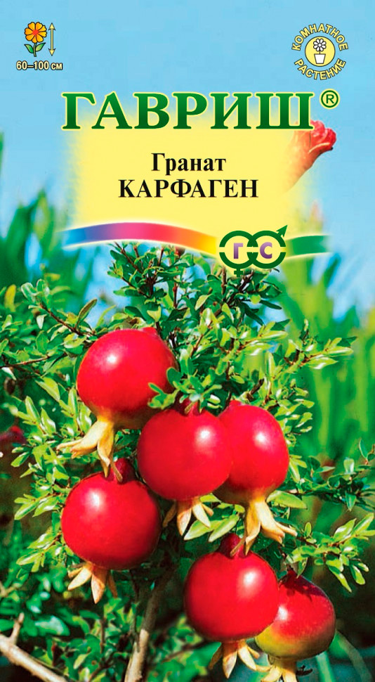 ������ ������ ������ ������ ������ ���������� ��������, 5 ��.   ����