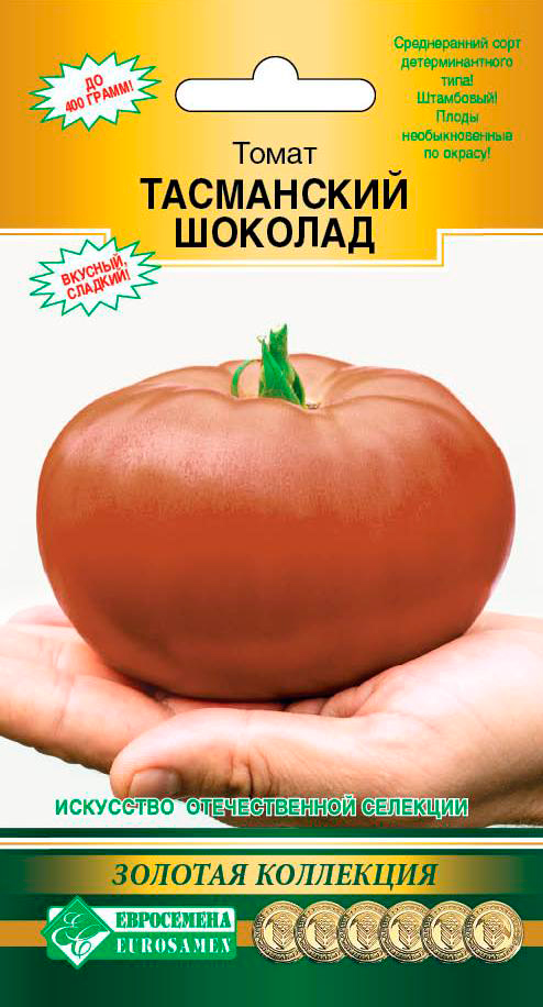 ������ ������ ������ ���������� ����� ���������� �������, 10 ��. ������� ���������   ����