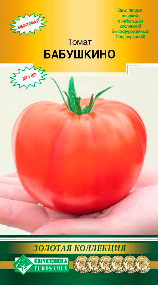 ������ ������ ������ ���������� ����� ���������, 10 ��. ������� ���������   ����