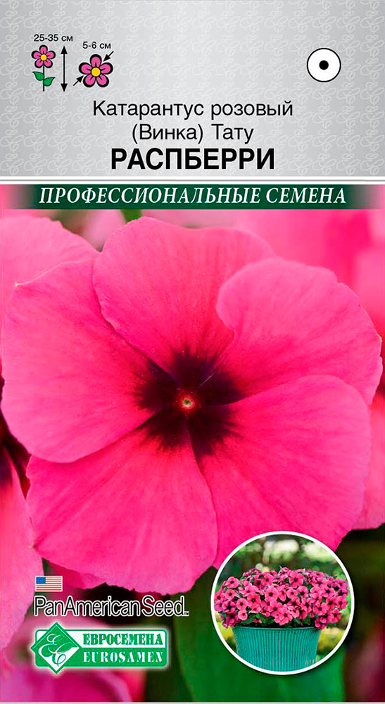 ������ ������ ������ ���������� ���������� ������� (�����) ���� ���������, 5 ��. ���������������� ������   ����