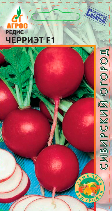 ������ ������ ������ ����� ����� ������� F1, 1 � Sakata ��������� ������   ����