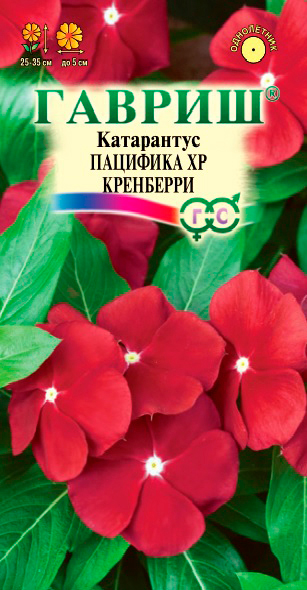 ������ ������ ������ ������ ���������� �������� XP ���������, 5 ��.   ����