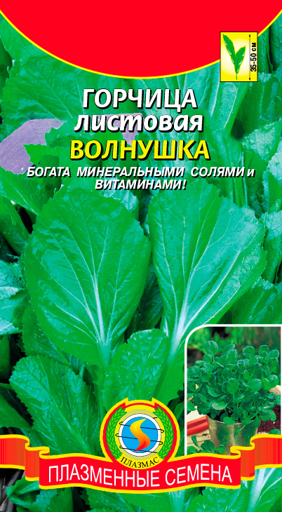 ������ ������ ������ ������� ������� �������� ��������, 1 �   ����