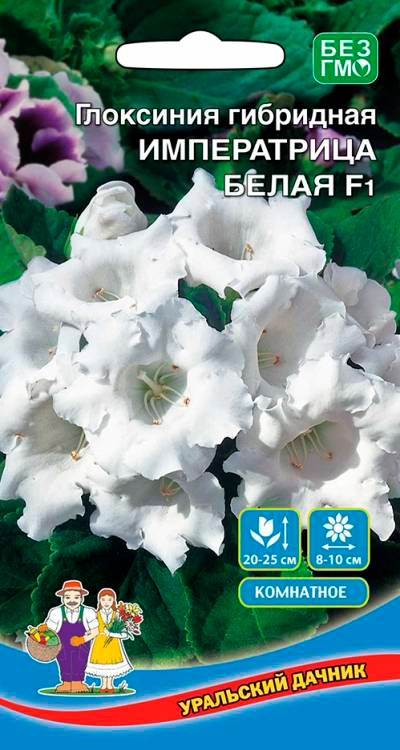 ������ ������ ������ ��������� ������ ��������� ����������� ����� F1, 5 ��.   ����