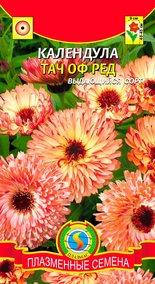 ������ ������ ������ ������� ��������� ��� �� ���, 0,15 �   ����