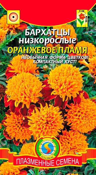 ������ ������ ������ ������� �������� ����������� ��������� �����, 45 ��.   ����