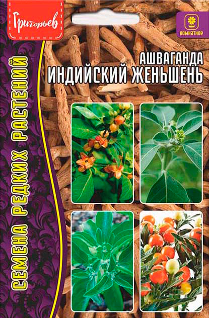 ������ ������ ������ ��������� ��������� ��������� ��������, 5 ��. ������ ������ ��������   ����