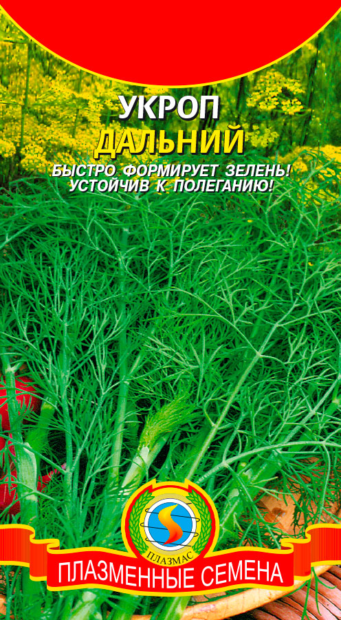 ������ ������ ������ ������� ����� �������, 2 �   ����