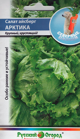 ������ ������ ������ ������� ������ ����� �������� ������� �������, 1 � �������� �����   ����