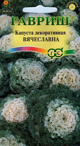 ������ ������ ������ ������ ������� ������������ ����������, 0,1 �   ����