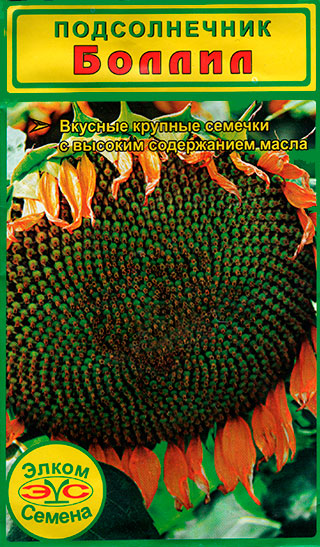 ������ ������ ������ ����� ������ ������������ ������, 2 �   ����