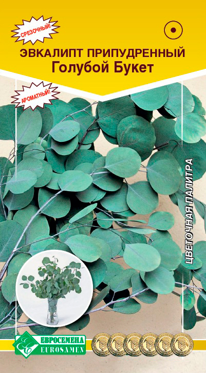 ������ ������ ������ ���������� �������� ������������ ������� �����, 3 ��.   ����