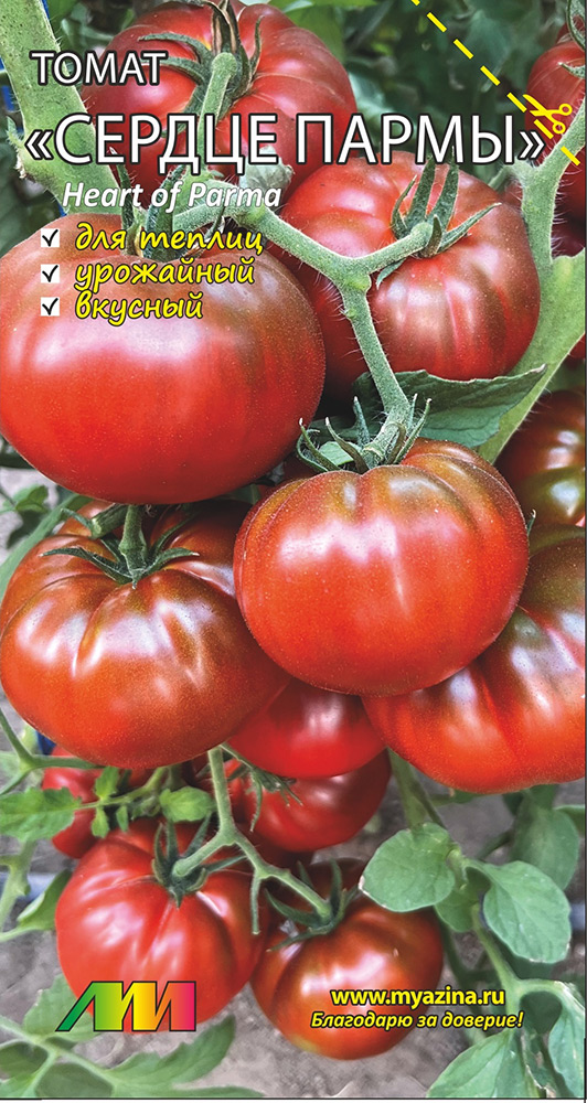 ������ ������ ������ ������ ������ ����������� ����� ������ �����, 0,02 �   ����