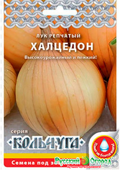 ������ ������ ������ ������� ������ ��� �������� ��������, 1 � �������� NEW   ����