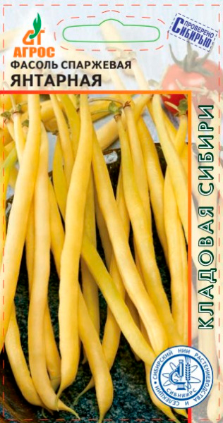 ������ ������ ������ ����� ������ ��������� ��������, 8 � �������� ������   ����