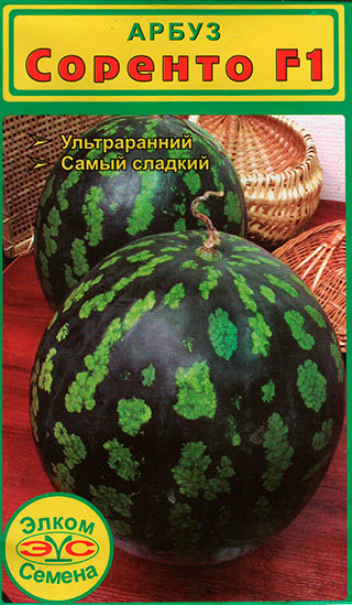 ������ ������ ������ ����� ������ ����� ����������� ������� F1, 5 ��.   ����