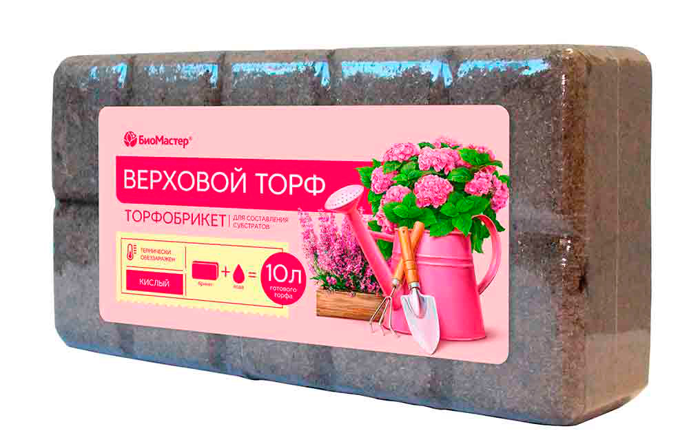 ������ ������ ���� �� ���������� ��������� ����������� �������� ���� ������, 10 �   ����