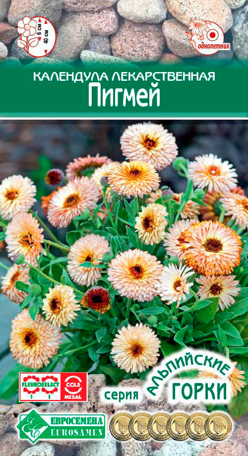 ������ ������ ������ ���������� ��������� ������������� ������, 0,1 � ���������� �����   ����