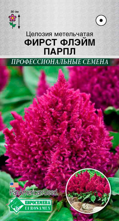 ������ ������ ������ ���������� ������� ����������� ����� ����� �����, 10 ��. PanAm Seeds ���������������� ������   ����