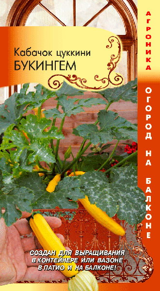 ������ ������ ������ ������� ������� ������� ��������, 3 ��. ������ �� �������   ����