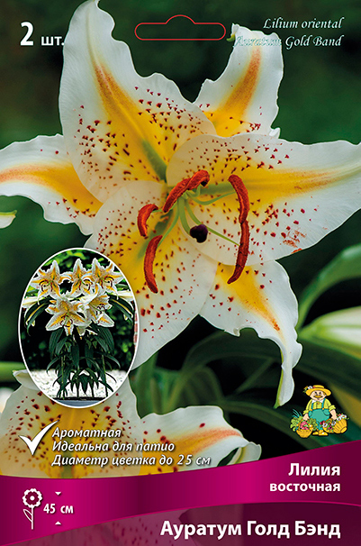 ������ ������ ���������� �������� ����� ��������� ����� ��������� ������� ���� ���, 2 ��.   ����