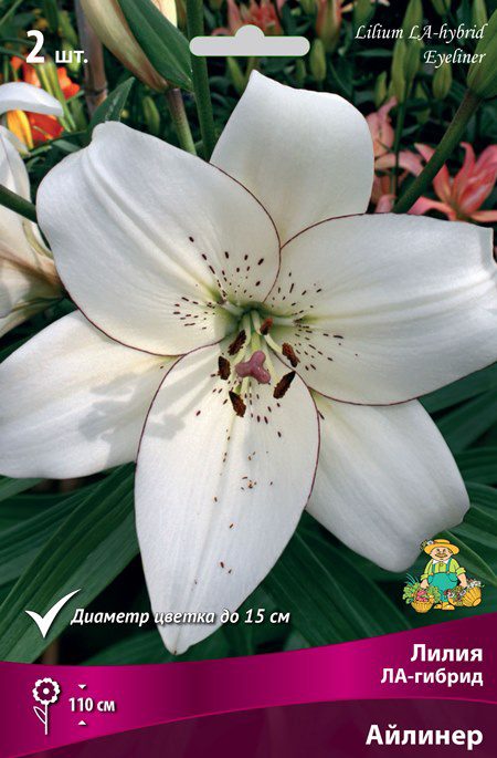 ������ ������ ���������� �������� ����� ��������� ����� ��-������ �������, 2 ��.   ����