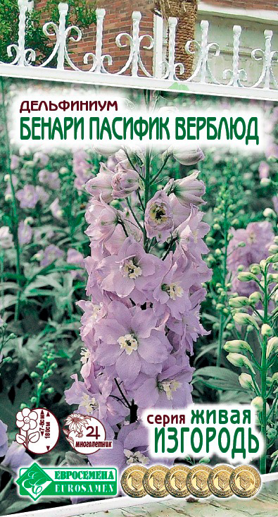 ������ ������ ������ ���������� ���������� ������� ������ ������� �������, 10 ��. ����� ��������   ����