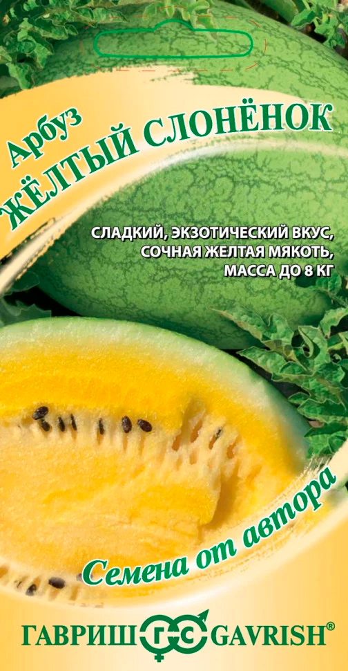 ������ ������ ������ ������ ����� Ƹ���� ��������, 5 ��. ������ �� ������   ����