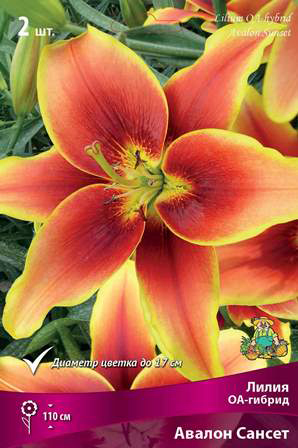 ������ ������ ���������� �������� ����� ��������� ����� ��-������ ������ ������, 2 ��.   ����