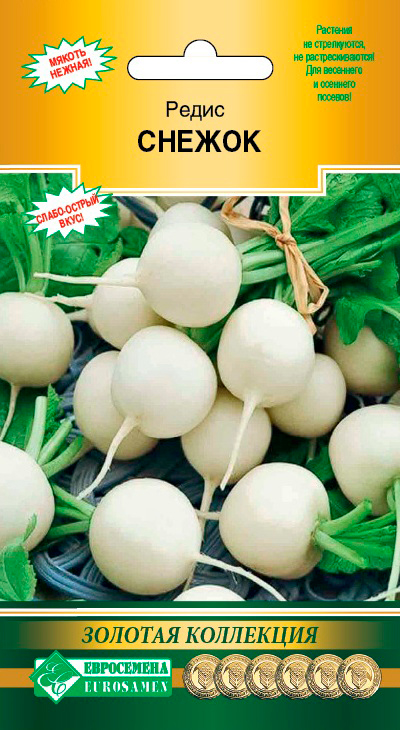 ������ ������ ������ ���������� ����� ������, 2 � ������� ���������   ����