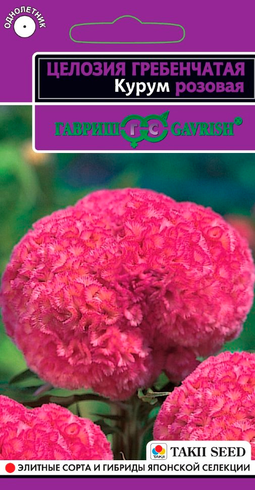 ������ ������ ������ ������ ������� ����������� ����� �������, 10 ��. Takii   ����