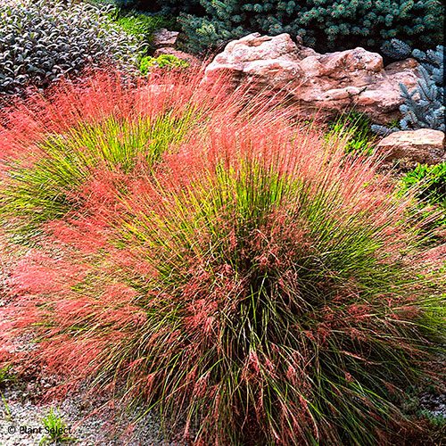 ������ ������ ������ ���� ������ ����������� �����������, 10 ��.   ����