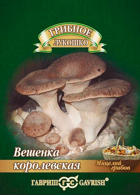 ������ ������ ������ ������ ���� ������� ����������� �� ��������� �������, 12 ��.   ����