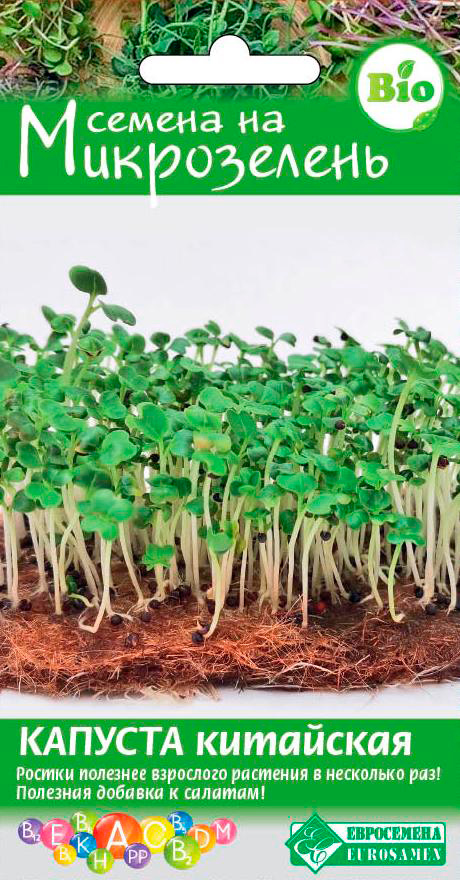 ������ ������ ������ ���������� ����������� ������� ���������, 2 �   ����