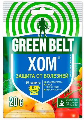 ������ ������ ���� �� ���������� ���� ���� ���, 20 �   ����