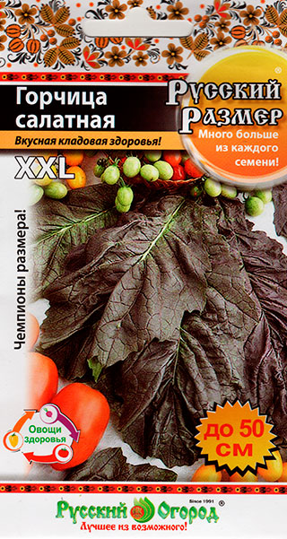 ������ ������ ������ ������� ������ ������� �������� ������� ������, 100 ��. ������� ������   ����