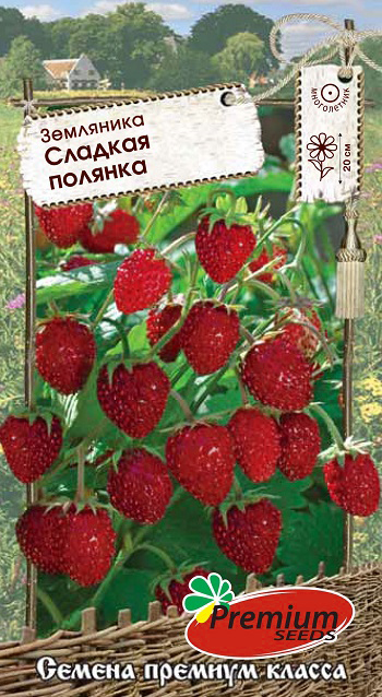   Premium seeds   ,  0,04     -     , -, 