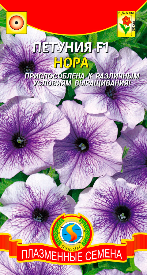 ������ ������ ������ ������� ������� �������������� ���� F1, 10 ��.   ����