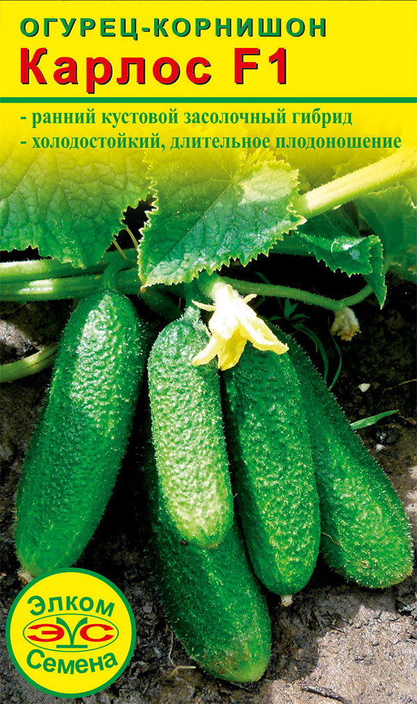 ������ ������ ������ ����� ������ ������ ������ F1, 10 ��.   ����