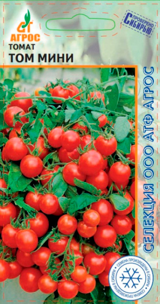 ������ ������ ������ ����� ����� ��� ����, 10 ��. �������� �����   ����