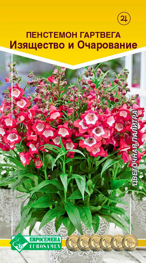 ������ ������ ������ ���������� ��������� �������� ��������� � ����������, 0,1 �   ����