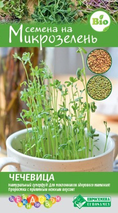 ������ ������ ������ ���������� ����������� ��������, 5 �   ����